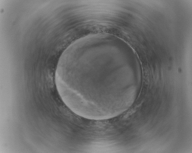 X0000077401013200611172058