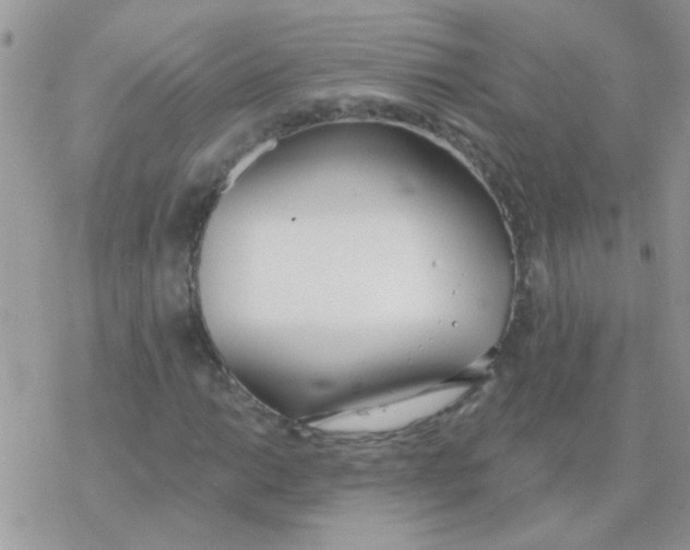 X0000077401014200611172058