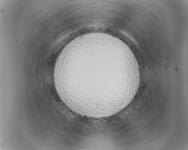 X0000077401015200611172058