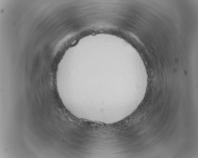 X0000077401016200611172058