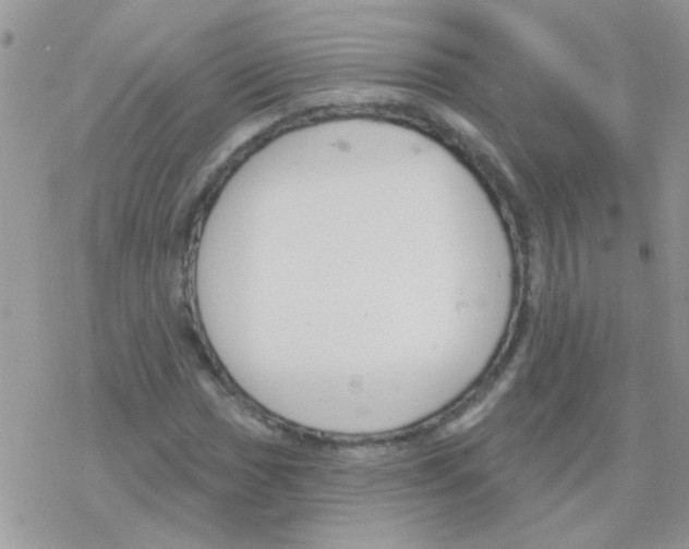 X0000077401017200611172058