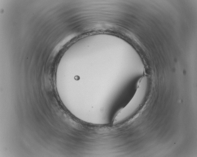 X0000077401018200611172058