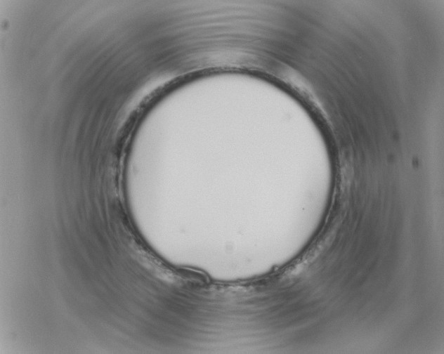 X0000077401019200611172059