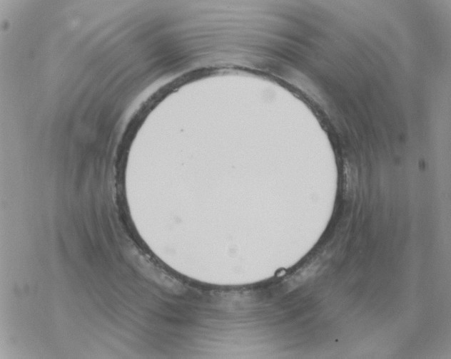 X0000077401020200611172059