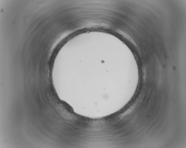 X0000077401021200611172059