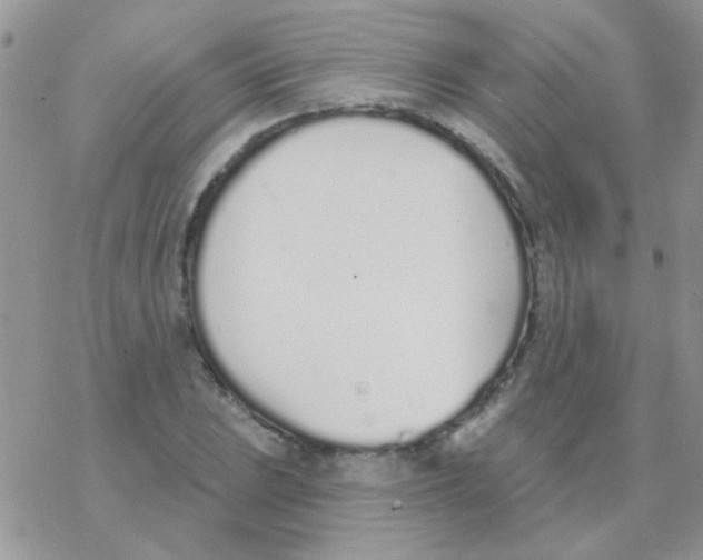 X0000077401023200611172059