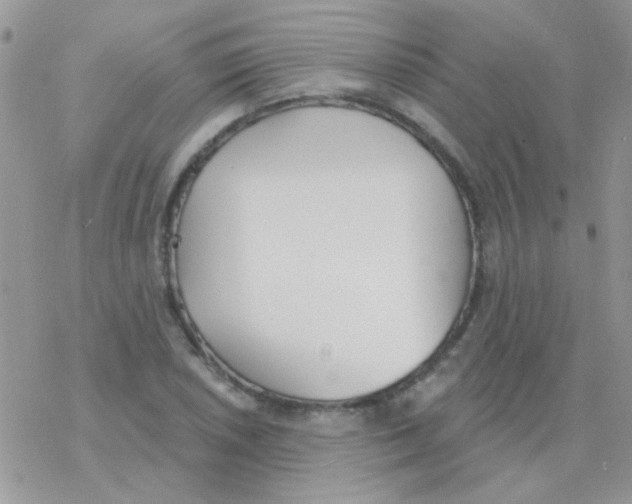 X0000077401026200611172059