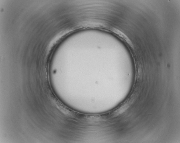 X0000077401027200611172059