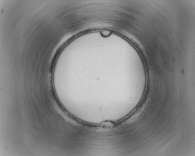 X0000077401029200611172059