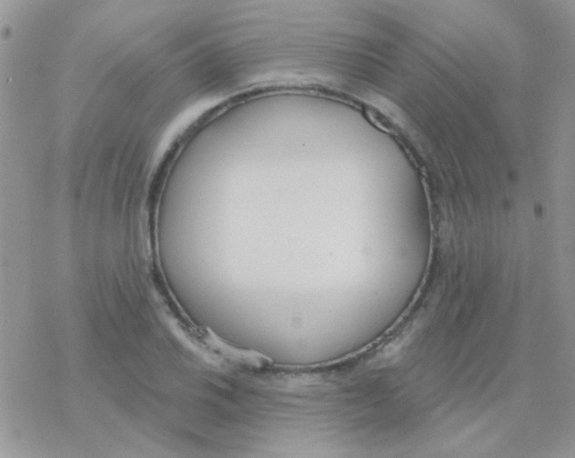 X0000077401030200611172059