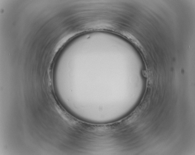 X0000077401031200611172059