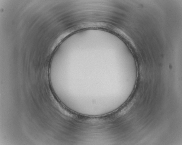 X0000077401033200611172059