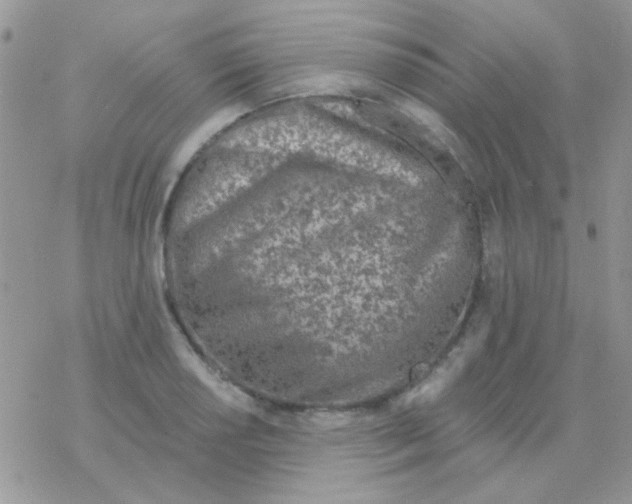 X0000077401034200611172059