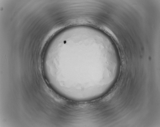 X0000077401035200611172059