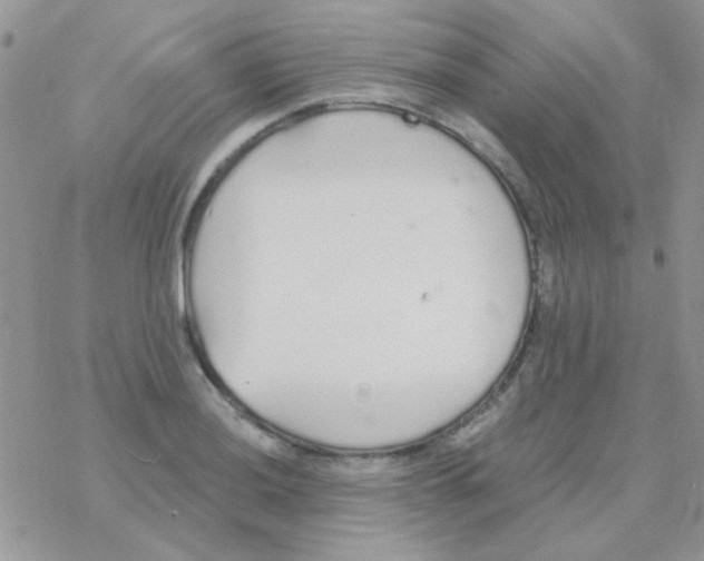 X0000077401036200611172059