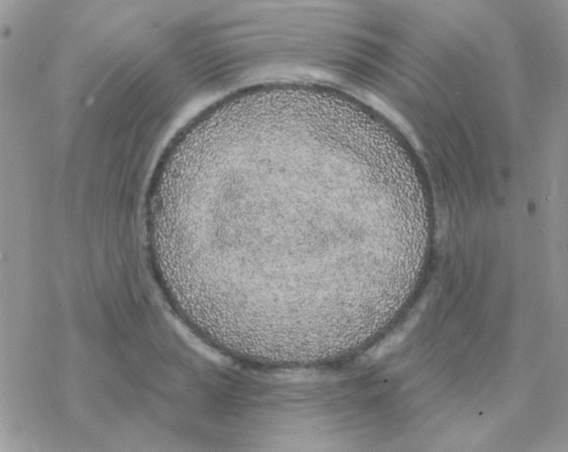 X0000077401037200611172059