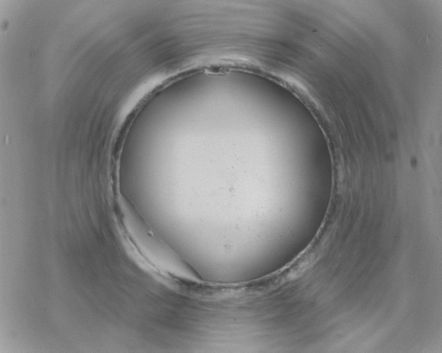 X0000077401038200611172059