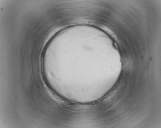 X0000077401039200611172059