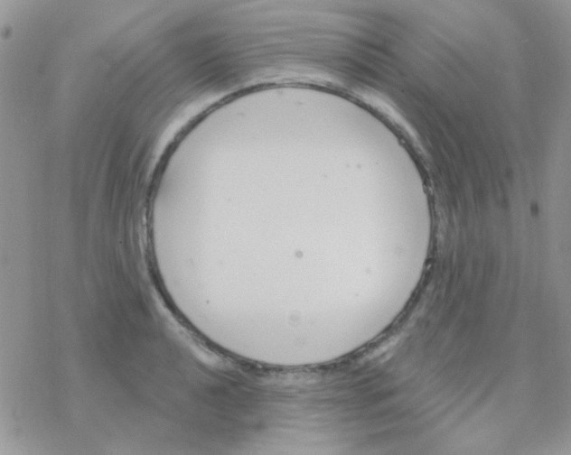 X0000077401040200611172059