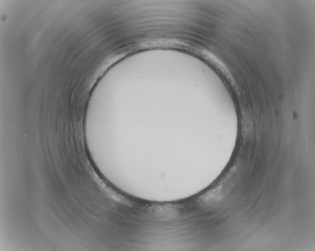 X0000077401041200611172059