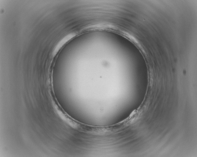 X0000077401042200611172059