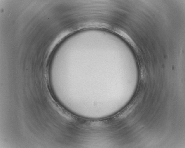 X0000077401043200611172059