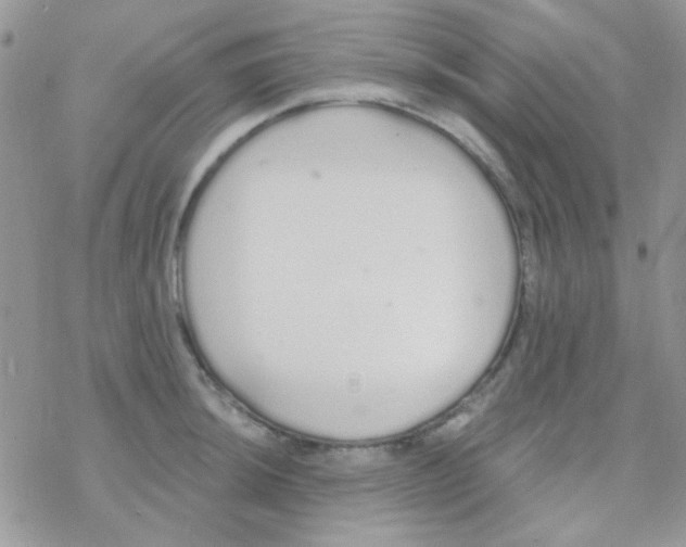 X0000077401044200611172059