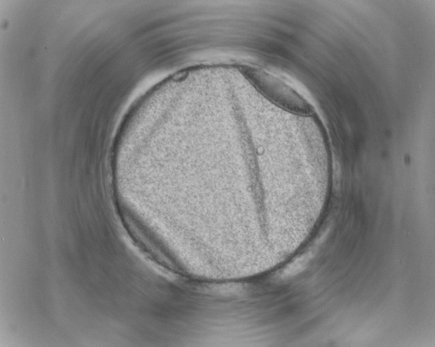 X0000077401045200611172059