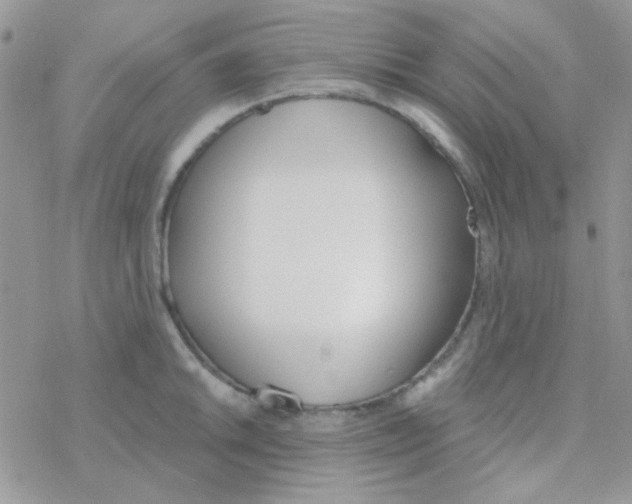 X0000077401046200611172059