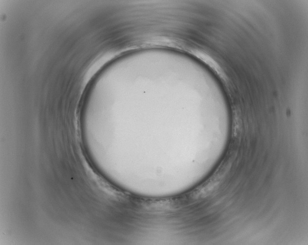 X0000077401047200611172059