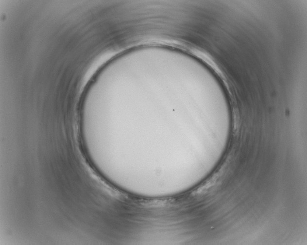 X0000077401048200611172059