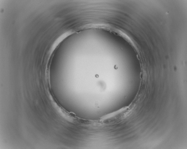 X0000077401050200611172059