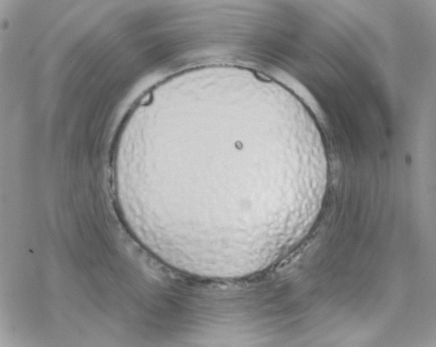 X0000077401051200611172059