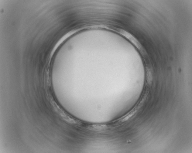 X0000077401052200611172059