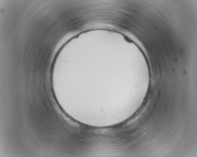 X0000077401053200611172059