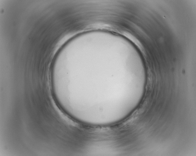 X0000077401055200611172059