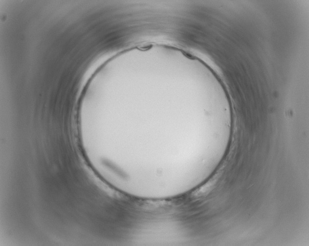 X0000077401056200611172059