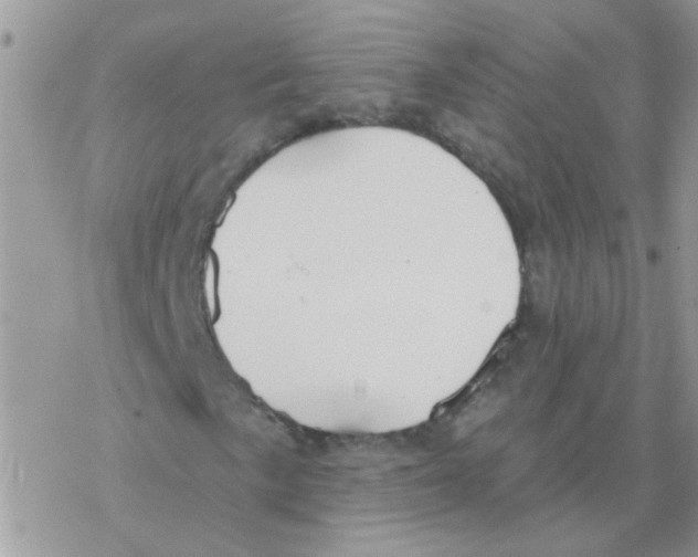 X0000077401057200611172058