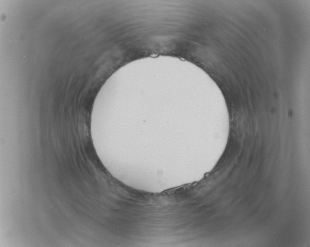 X0000077401058200611172058