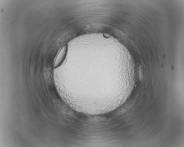 X0000077401059200611172058