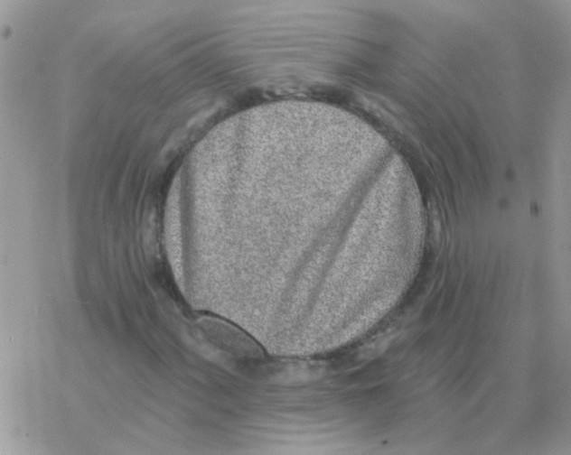 X0000077401060200611172058