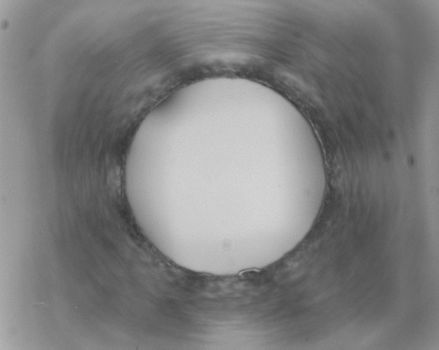 X0000077401061200611172058