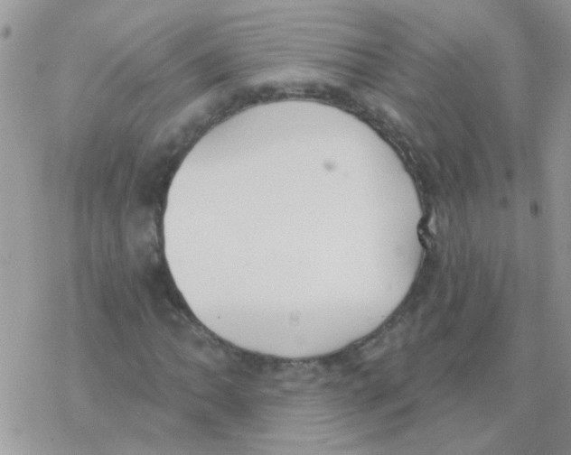 X0000077401062200611172058