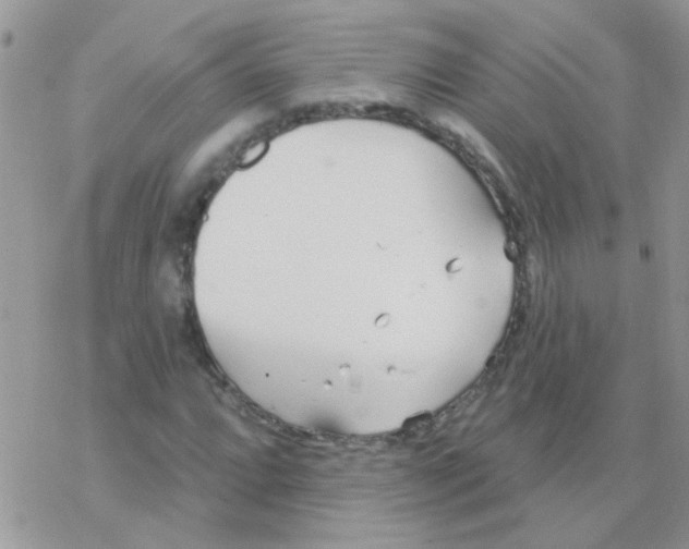 X0000077401064200611172058