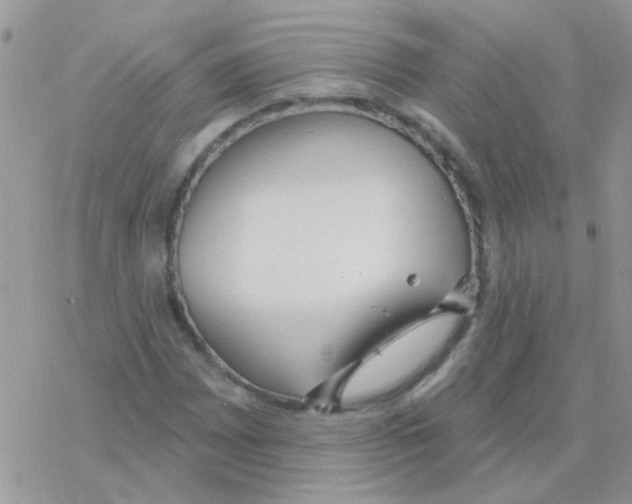 X0000077401065200611172058