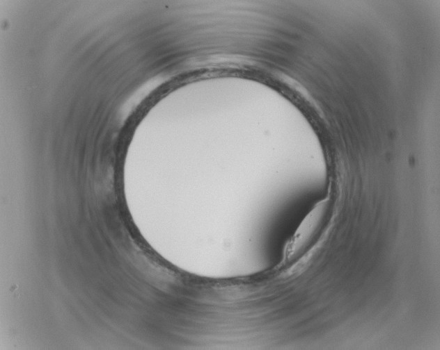 X0000077401066200611172058