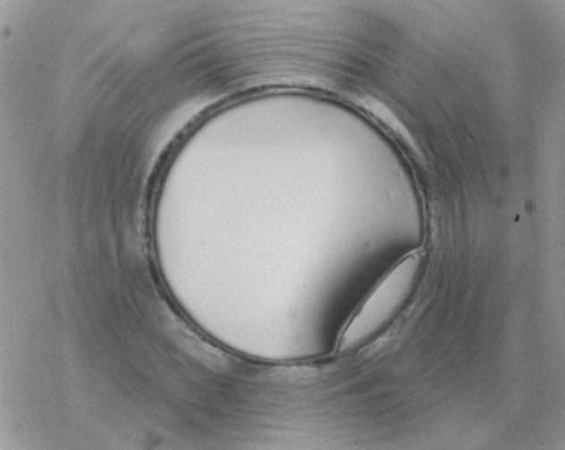 X0000077401068200611172058