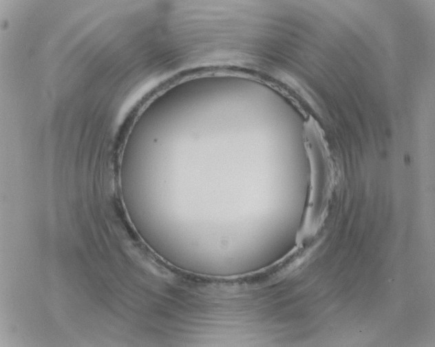 X0000077401069200611172058