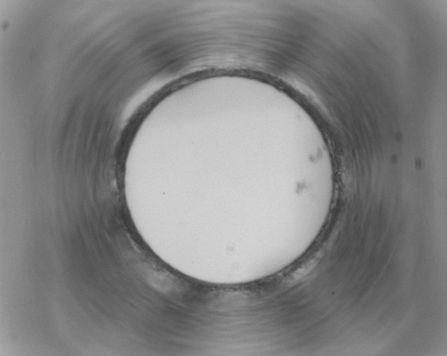 X0000077401070200611172058