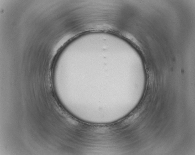 X0000077401071200611172058